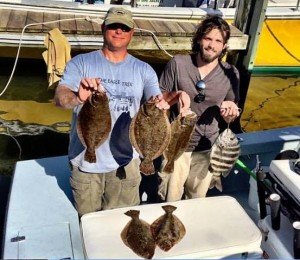 13516627_1038827072833437_9089238112207935890_n