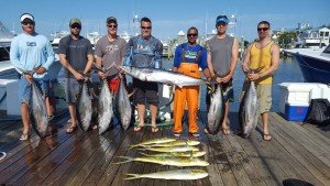 13532757_1549785815326271_343194575090122277_n