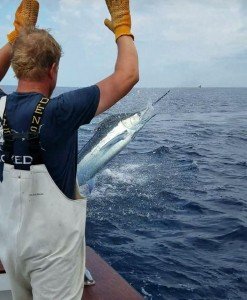 13475116_1004091972974016_1807750102534507782_o