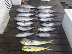 13466309_573497419496269_2581960402283567513_n