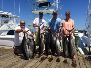 13450309_1000666079983272_5072311860983718645_n