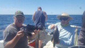 13435328_10157257997150105_6857802326082069163_n