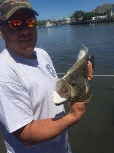 13393988_10208355267976874_8420804517629128242_n