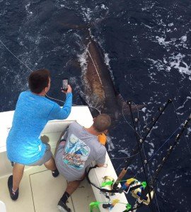 13450317_10208339199975184_5815179696004538992_n