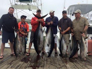 13435343_998970860152794_5466194237215817681_n