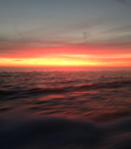 Screen Shot 2016-06-15 at 9.34.13 PM