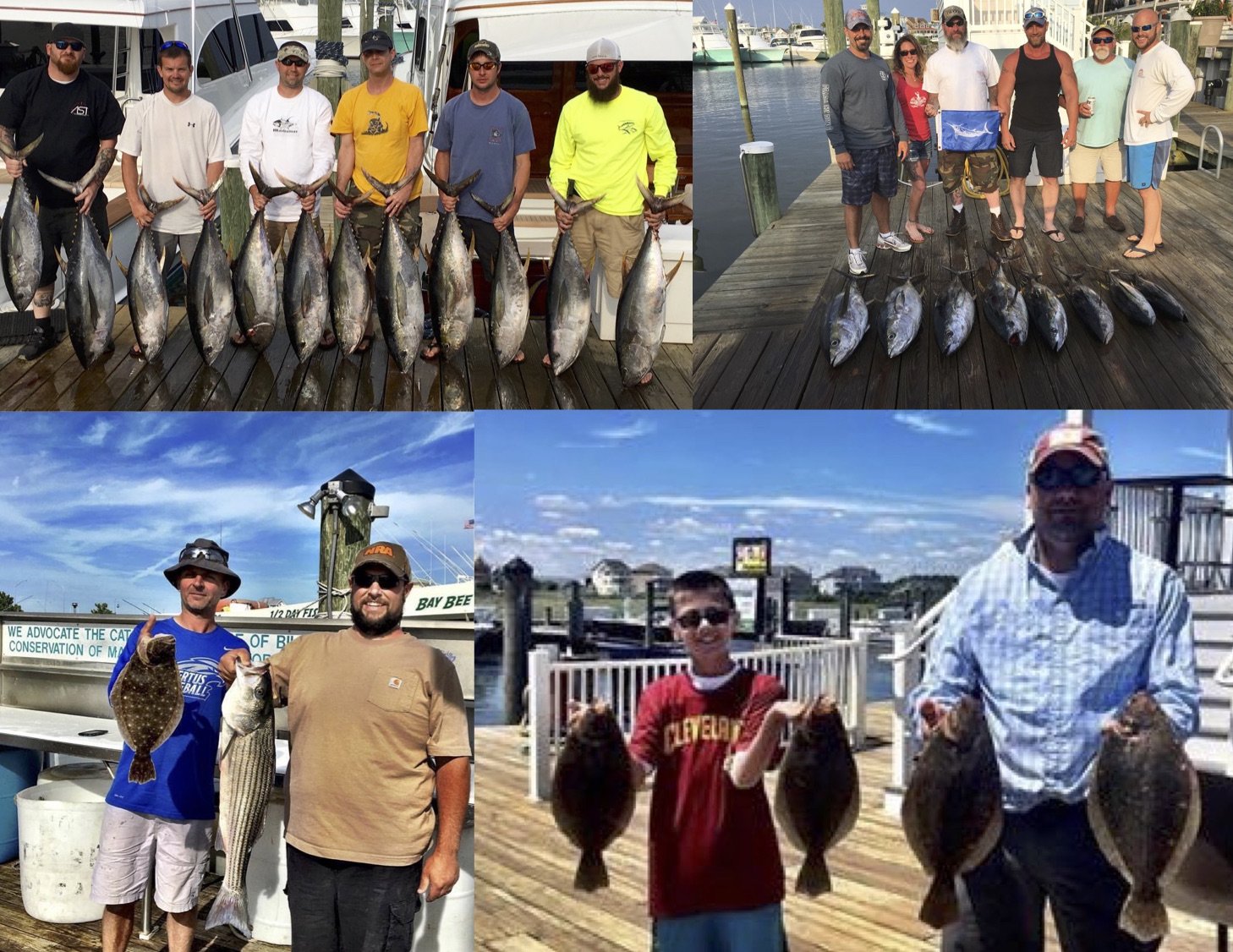 Awesome Fishing Inshore and Offshore