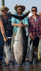 Big Bigeye