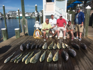 Screen Shot 2016-06-10 at 8.15.09 PM