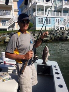 13419148_10100661506712477_5339978262900517045_n