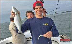 13413038_501111726766008_5179733269691785903_n