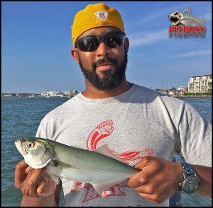 13343114_501111750099339_7770137509236453168_n