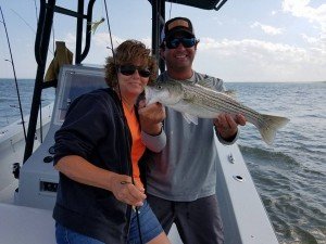 13336089_1388718391154946_7083289624655101015_n