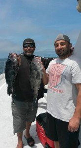 13335708_10157200544595105_9019119076736577262_n