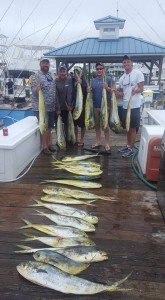 13344699_1543098555994997_6917352245209929921_n