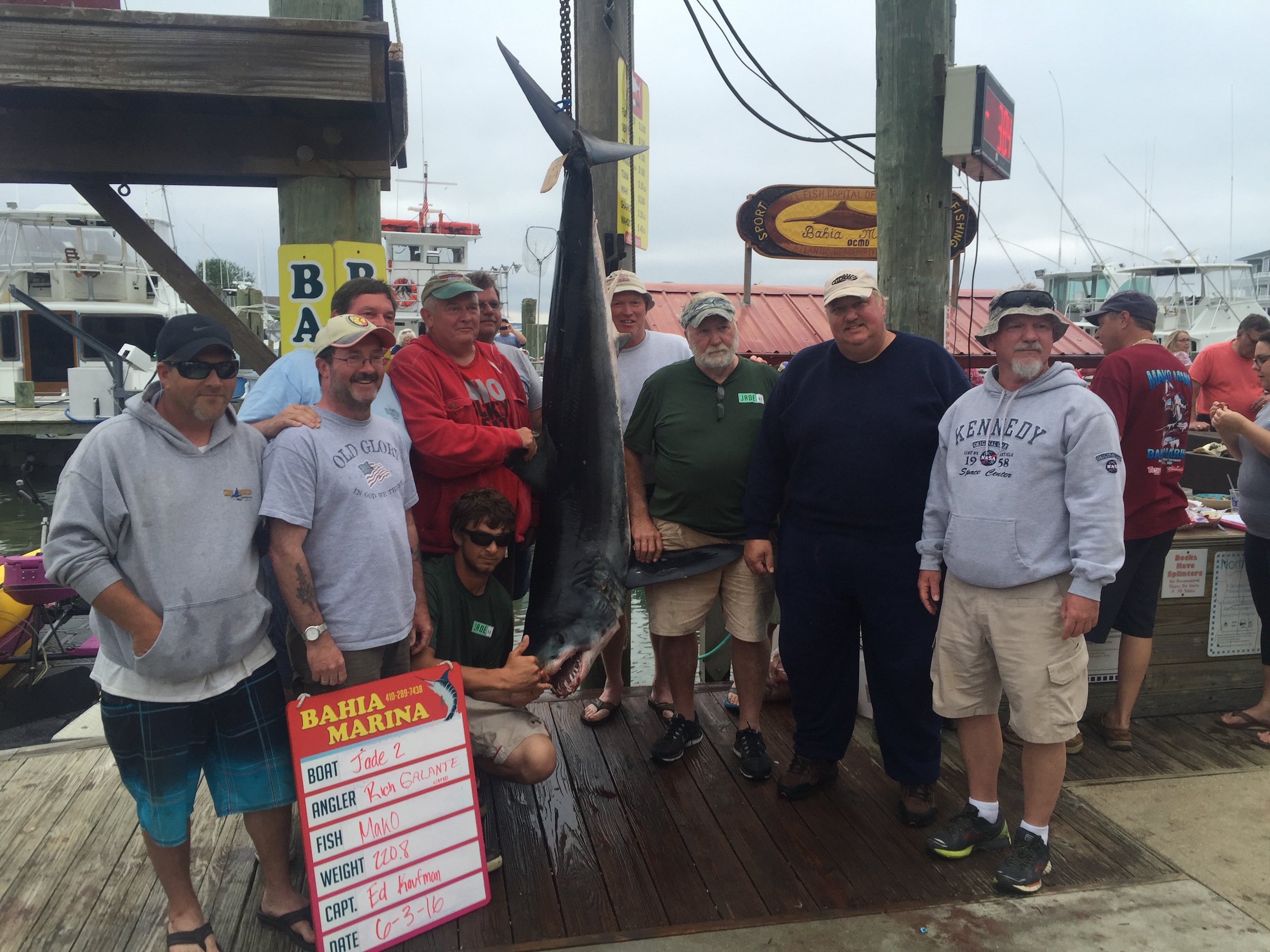 Mahi, Tuna and BIG Sharks