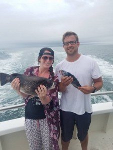 13321641_1436950552997104_4311120568636706489_n