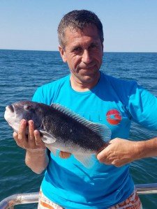 13325741_1436950616330431_7081720695547787605_n