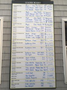 13872959_949278315183256_5637333617320605891_n