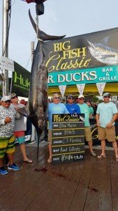 13874963_10208350276412293_772192587_n