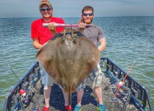 Resized_20160724_110524-02