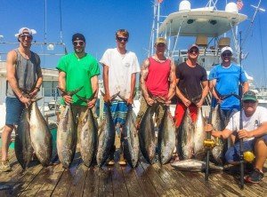 13734910_1020234931359720_868414029058937388_o