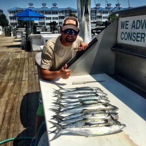 13709842_1054536197929191_5105255443003287971_n