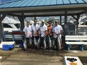 13693023_1631480753833607_6703136115257789575_o