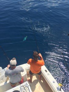 13770446_10208611725108142_8166379511085247606_n