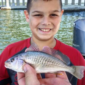 13781984_10209623280840247_2470820140645827749_n