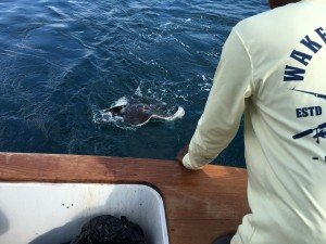 13708312_1556913957946790_2296074140821390850_o