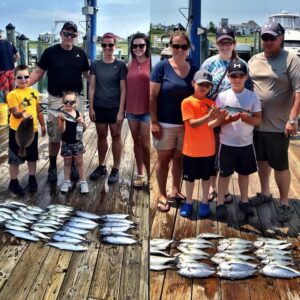 13716209_1052849688097842_6828685008086997405_n