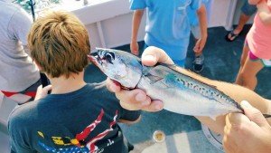 13775823_10153817100996448_8730632747061219600_n