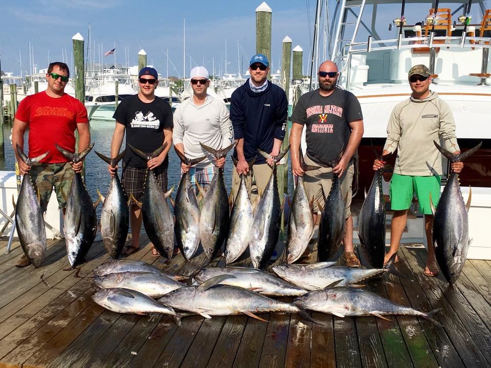 No More Room in the Fish Box