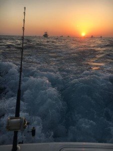 13700092_10208562193349879_8413361989889544067_n