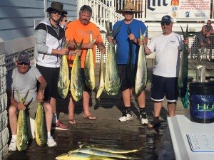 13690823_581194552059889_7438449146528919085_n