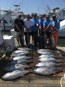 13707719_1554691201502399_630595084633761185_n