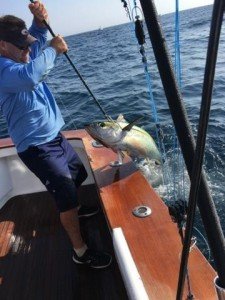 13681001_1554741314830721_7655483550518145265_n