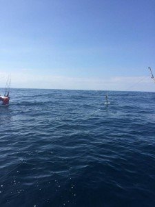 13672315_10208496355339968_392324918_n