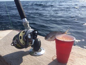 13654158_10208536122418122_4806532376540521918_n