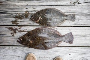 13669072_10157117694620156_2089688521307156556_n