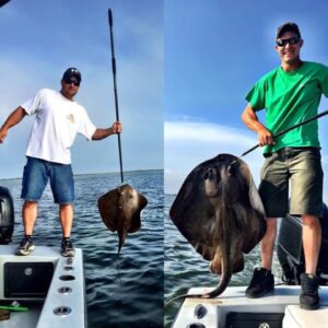 13620031_1045806132135531_3572501194514230089_n