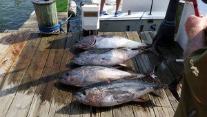 13614996_10209454939351353_7391429603589362608_n