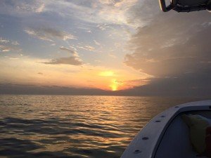 13631654_934983246612763_125352262904251594_n