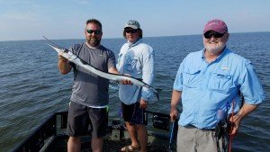 Resized952016070895091457