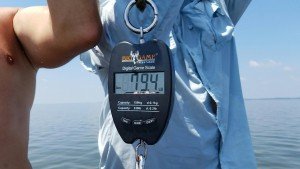 Resized_20160708_114155