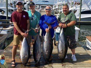 FullSizeRender-4 copy