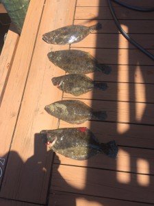 13612268_10208811627441624_2401673311733561645_n