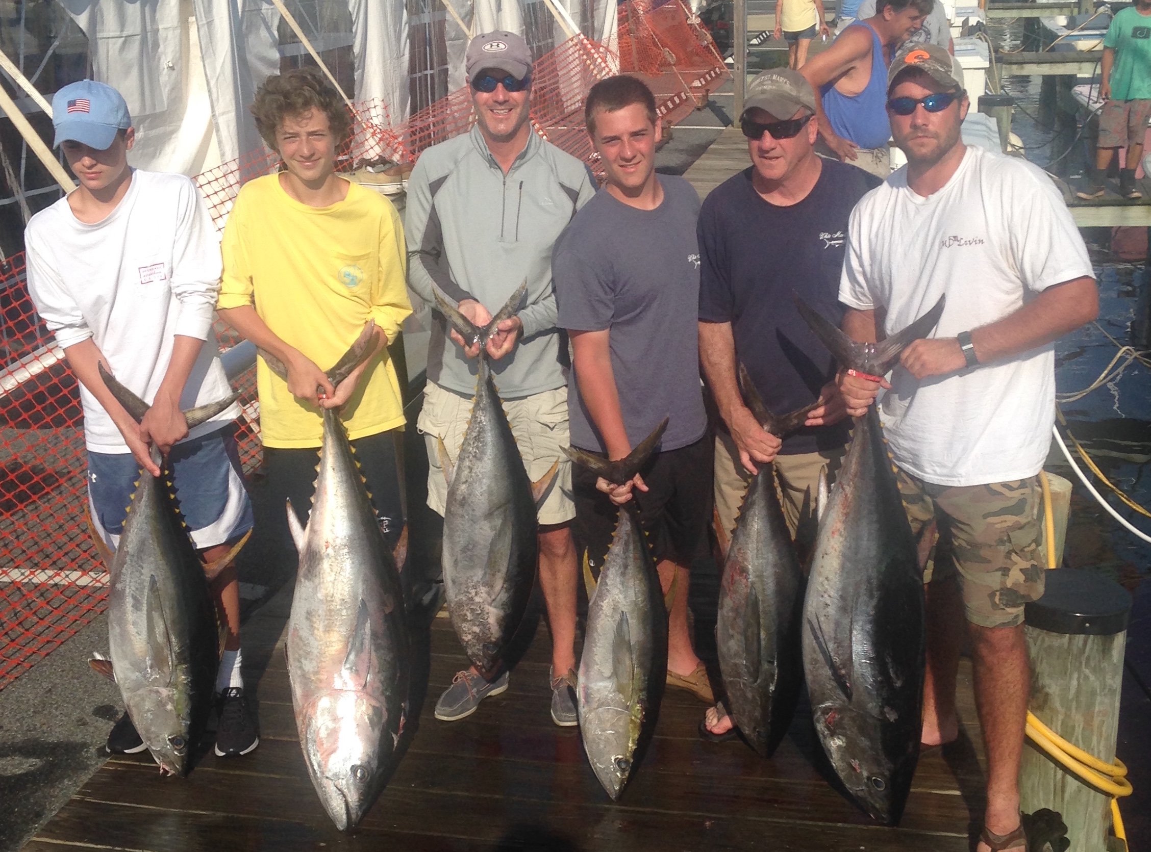 The Tuna are Back