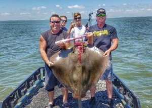 Resized_20160625_122639-01